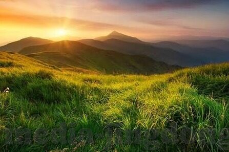 91麻豆第一页-温馨提醒，正规上网，共享美好数字世界