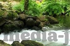 91麻豆欧美久久九色-成人内容话题的界限与家庭健康的和谐