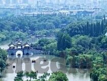 国产91精品麻豆-自在艺术之境，国产91精品麻豆的跨越与融合
