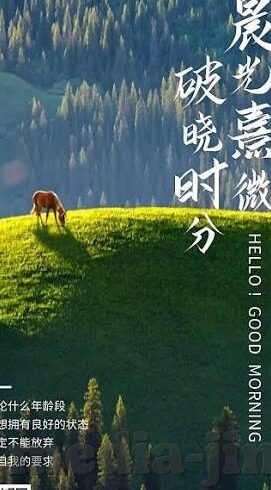国产限制日韩91麻豆-国产剧集的多元探索与文化自信