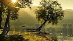 糖心app苹果版免费下载-免费下载糖心App苹果版，揭开社交的新篇章