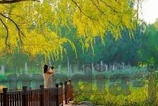 无极色一区二区-探索无极色一区二区的多元魅力